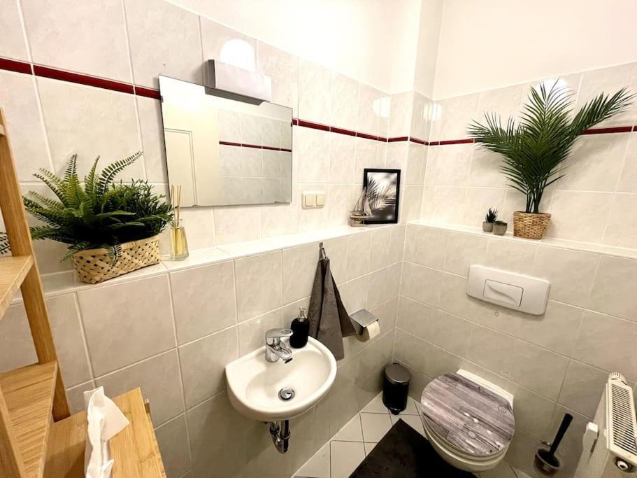 Апартаменты Casarina - Stilvoller Altbau In Zentraler Lage Дрезден Экстерьер фото